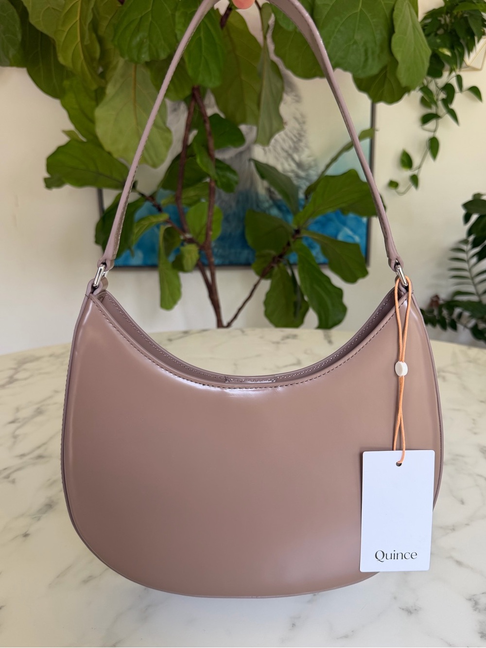 NWT Quince Italian Abrasivato Leather Shoulder Bag Taupe Neutral Polished